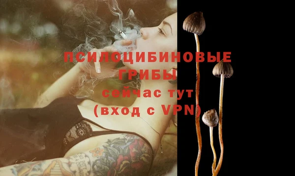 a pvp Пролетарск