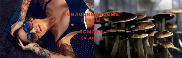 ECSTASY Протвино