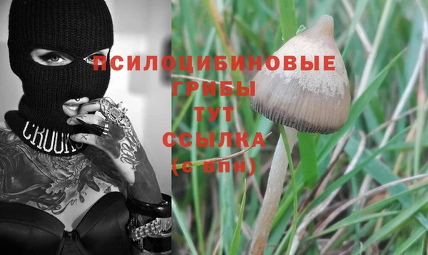 a pvp Пролетарск