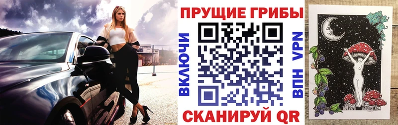 Псилоцибиновые грибы MAGIC MUSHROOMS  ОМГ ОМГ маркетплейс  нарко площадка клад  Абдулино 